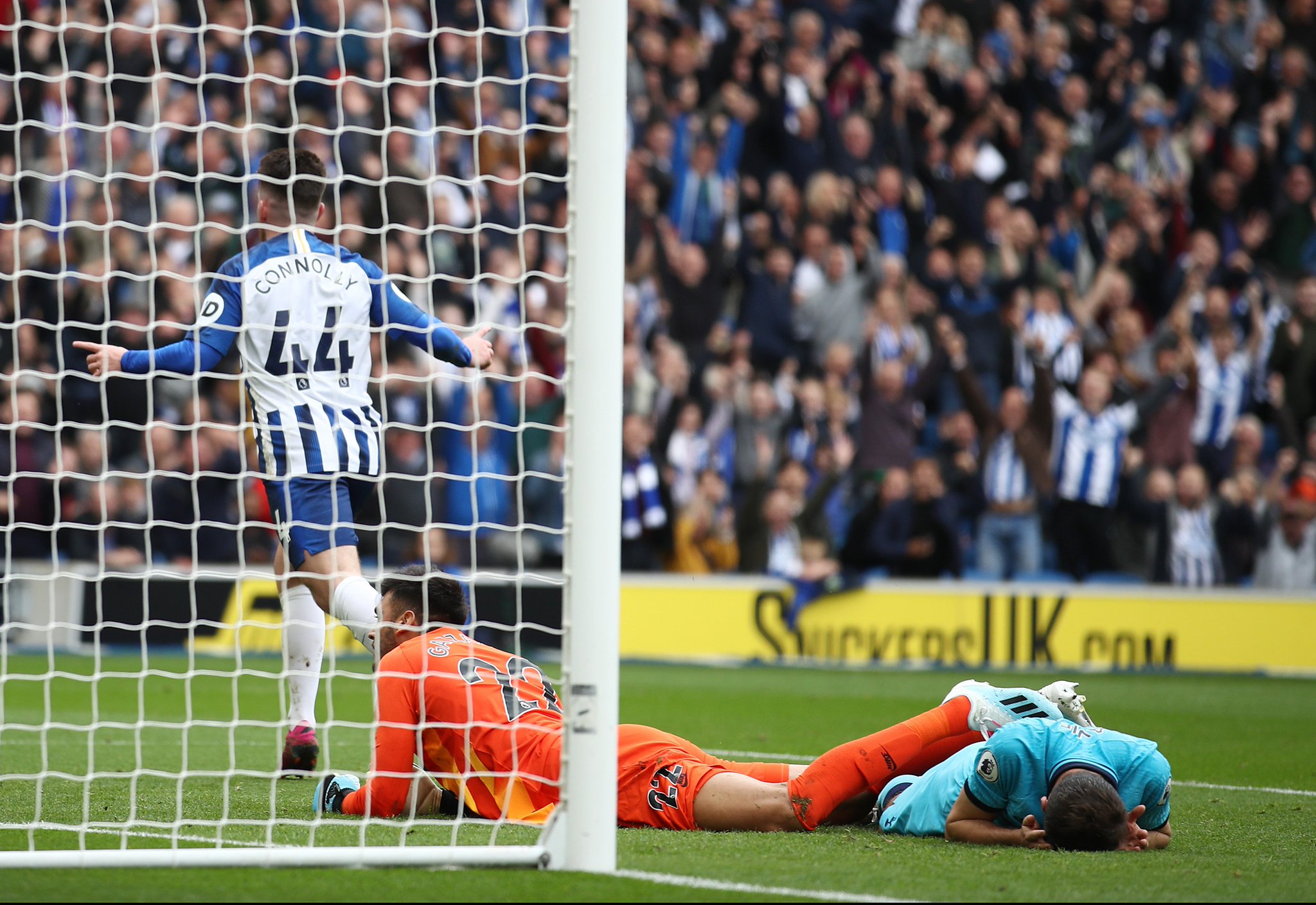 期待国安能 期待国安能